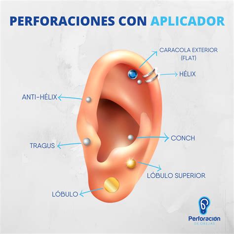 Piercing En La Oreja Y Sus Nombres Perforacion De Orejas