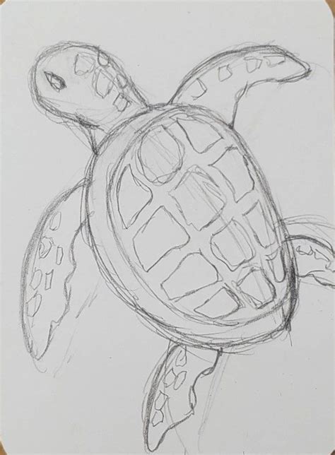 How To Draw A Sea Turtle Easy Art Tutorial Art By Ro