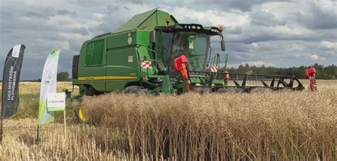 Kolejne rekordy Polski plonów największe plony rzepaku