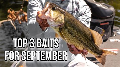 My Top Baits For September Bass Fishing Youtube