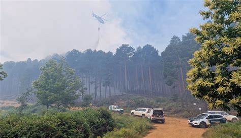 El Gesto De Un Zamorano Con Los Apicultores Afectados Por El Incendio