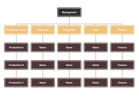 Matrix Organizational Structure Chart