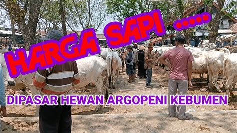 HARGA SAPI DIPASAR HEWAN ARGOPENI KEBUMEN CHUIECHANNEL YouTube