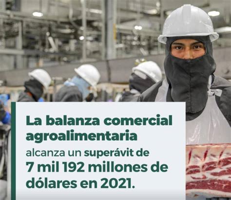 Registra balanza comercial agroalimentaria superávit de 659 millones de