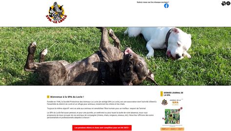 Spa Soci T Protectrice Des Animaux Le Locle Accueil