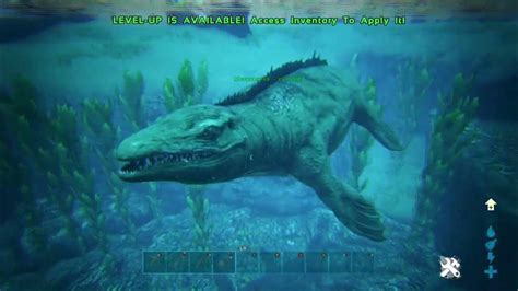 How To Spawn The Mosasaurs With Admin Commands In Ark Survival Evolved