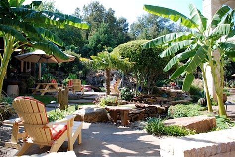 Tropical Garden Oasis Tropical Patio Dallas By Original