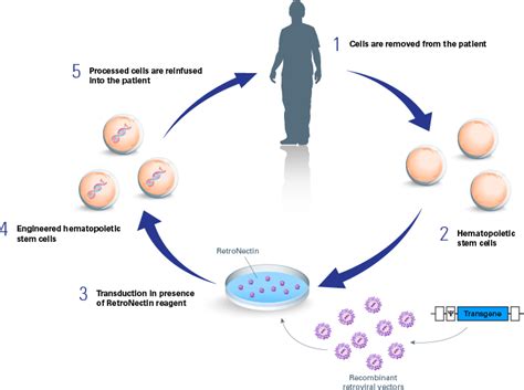 Adoptive T Cell Therapy Act