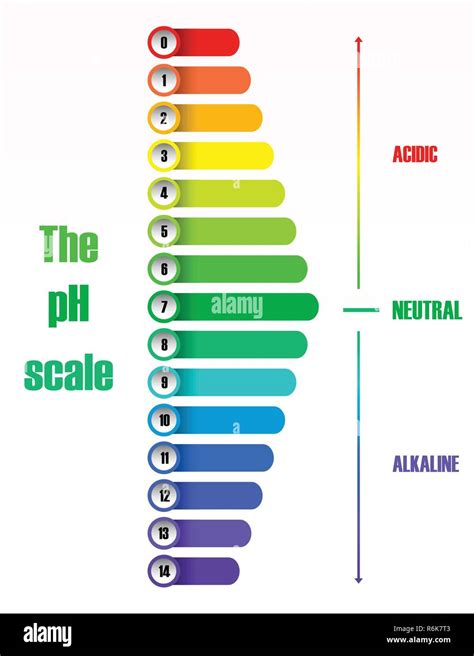 The Ph Scale Diagram Illustration Stock Vector Image Art Alamy