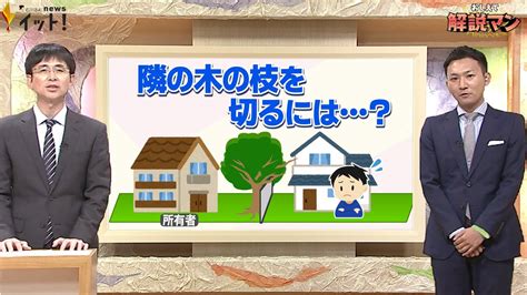 家の敷地に侵入してきた“隣の木の枝”切ってもokに ルール改正のポイントは（解説マン） Youtube