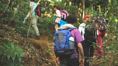 Descubra As Maravilhas Do Ecoturismo No Brasil Viajar Sozinho