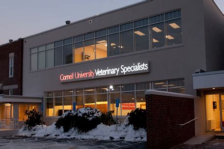 Veterinary hospital in Connecticut earns Level 1 certification ...