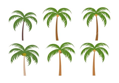 Premium Vector Set Of Palm Trees Isolated On White Background Vector