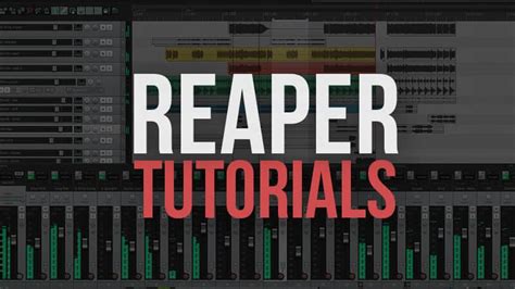 How To Use Reaper Step By Step Tutorials For Beginners