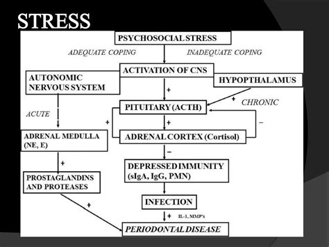 Chronic periodontitis | PPT