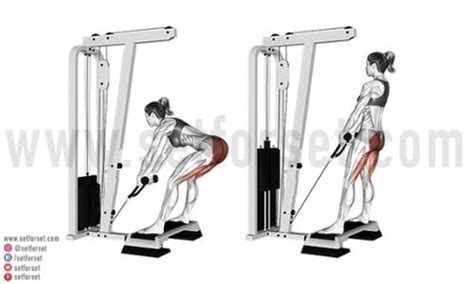 Smith Machine Workout Cable Machine Workout Leg Curl Machine Cable