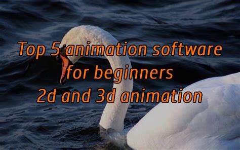 Top 5 Best animation software for beginners - Best Digital Marketing Agency in Chandigarh