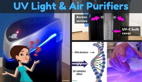 What Does UV Light Do In An Air Purifier? The Facts You Need