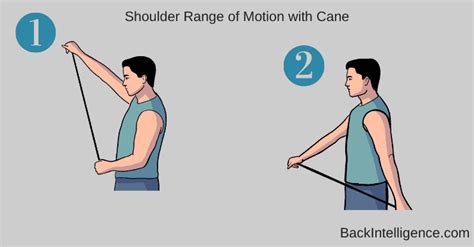 Frozen Shoulder Physical Therapy Exercise EOUA Blog