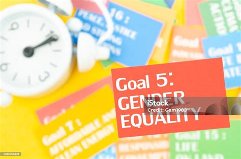 The Goal 5 Gender Equality The Sdgs 17 Development Goals Environment