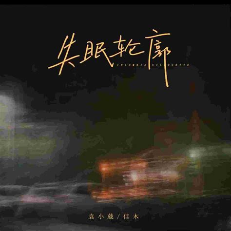 ‎《失眠轮廓 Single》 袁小葳 And 佳木的专辑 Apple Music