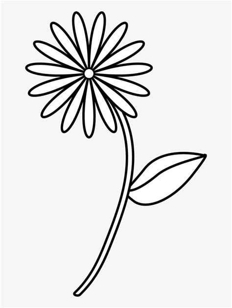 Easy Flower Sketches To Draw - Home Alqu