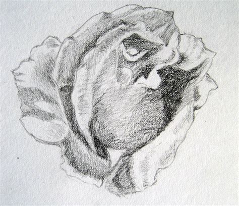 Art By Prem (•) Com: Sketches of Roses