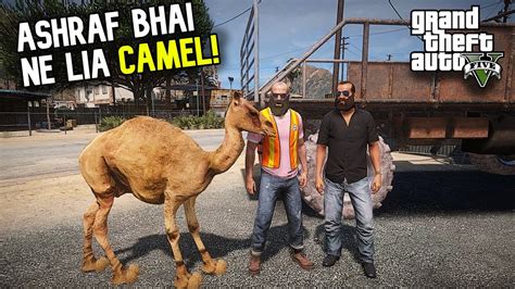 ASHRAF BHAI NE LIA CAMEL FUNNY MANDI SERIES BAKRA EID EPISODE 8