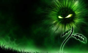 cool  wallpapers top  cool  backgrounds
