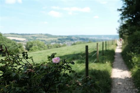 Kelston Round Hill Bath And North East Somerset Area Information