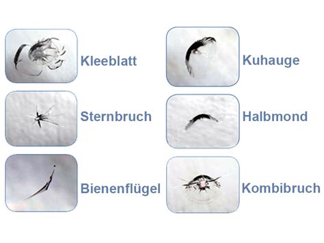 Arten Von Rissen In Der Windschutzscheibe Autoglas Servicebetrieb