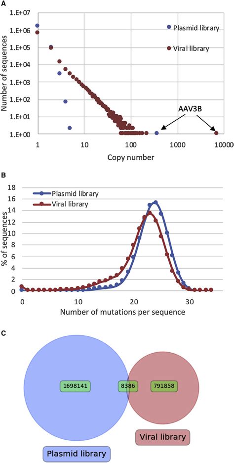 Ngs Analysis Of Plasmid And Viral Aav Libraries A Copy Number