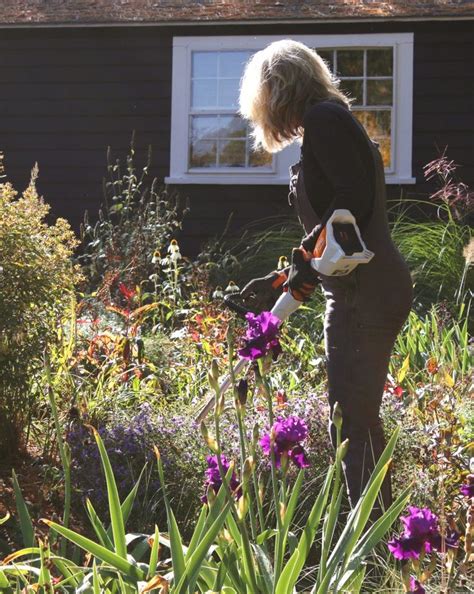 16 Unique Garden Ideas For How To Grow A Beautiful Clematis Vine