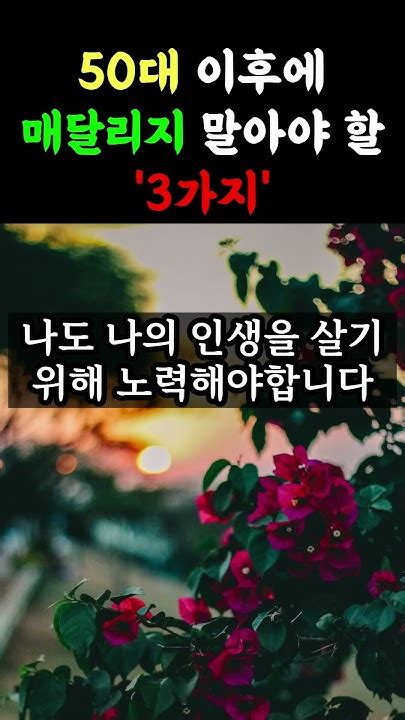 50대 이후에 매달리지 말아야 할 3가지 50대가 되면 좀 내려놓아야 하는것들 인생조언ㅣ노후준비ㅣ노후대비ㅣ은퇴 행복한