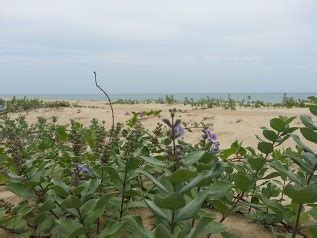 Pusat Rekreasi Latihan Taman Rehlah Pantai Bisikan Bayu 16700