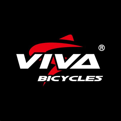 Company Overview - VIVA CORPORATION LIMITED