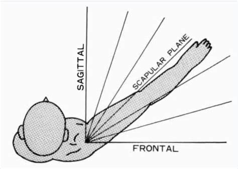 How To Properly Permanently Resolve Scapular Dyskinesis Msk Neurology