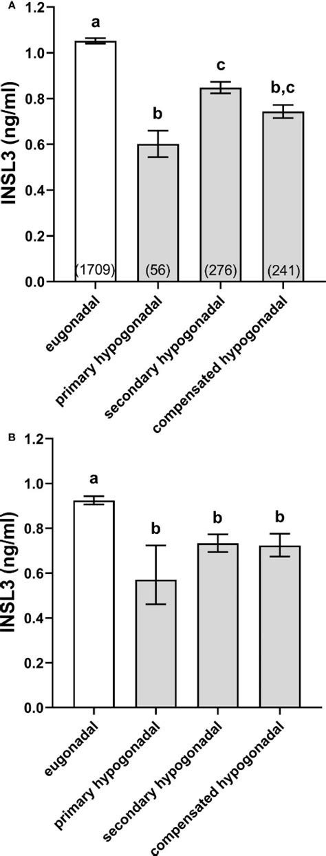 Insulin Like Peptide 3 INSL3 Ein Konstitutives Peptidhormon Aus Den