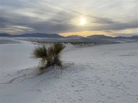 Best 10 Hiking Trails in White Sands National Park | AllTrails