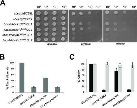 Complementation Studies In Yeast A Oxidative Growth Phenotype The