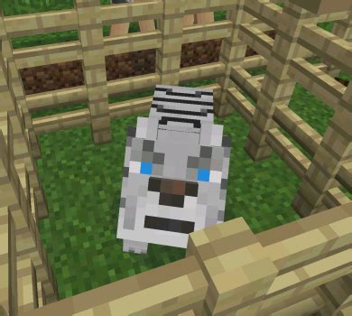 Big Cats Mod | Minecraft PE Mods & Addons