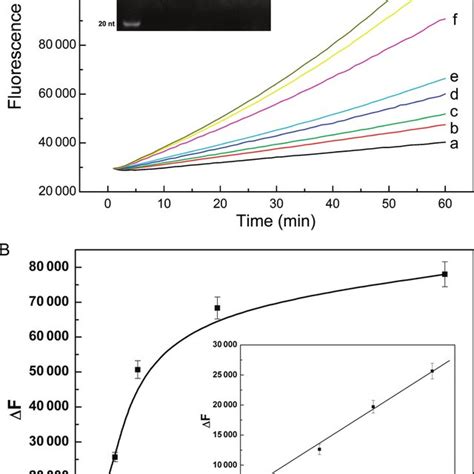 Signal cascade amplification reactions initiated with different amounts ...