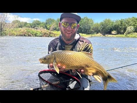 MONSTER Yellows On The Vaal River YouTube