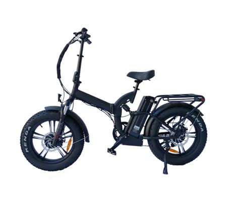 Queene Manufacturer Bafang Motor Fat Ebike Inch Fast Electric