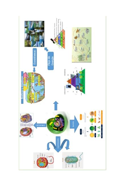 Mapa mental con los conceptos básicos del entorno vivo GA2 2202015 01