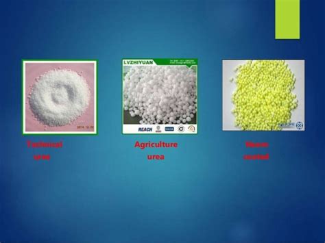 urea production