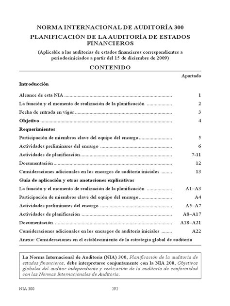 Norma Internacional De Auditoría 300 Planificación De La Auditoría De