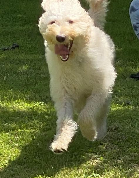 Photo Dump Of Bailey Enjoying Her Backyard Shes So Photogenic 📸🥰 R