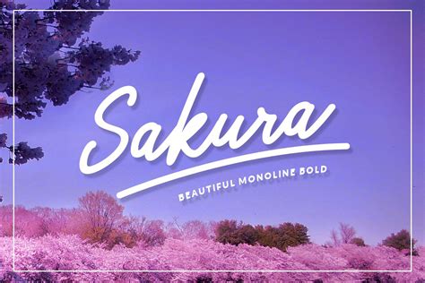 Sakura Bold Font Set 16626 Logo Font Bundles