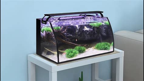 Hygger Aquarium Kit Gallon Horizon Fish Tank Diy Landscaping Design